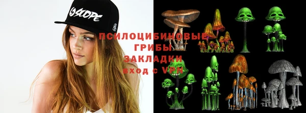 дмт Пролетарск