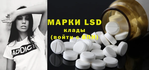 ПСИЛОЦИБИНОВЫЕ ГРИБЫ Богородск