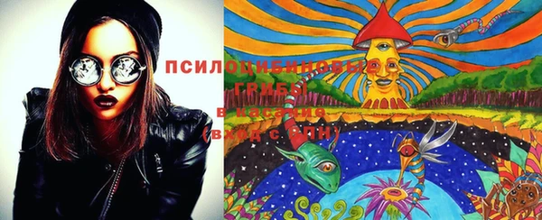 дживик Богданович
