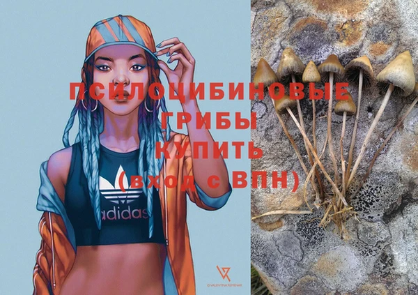 ешки Богородицк